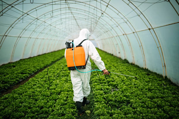 Reliable East Berwick, PA Pest Control Solutions