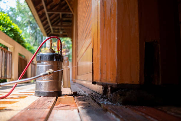 Best Affordable Pest Control Services  in East Berwick, PA