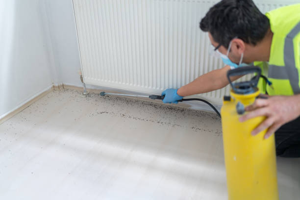 Best Bed Bug Extermination  in East Berwick, PA